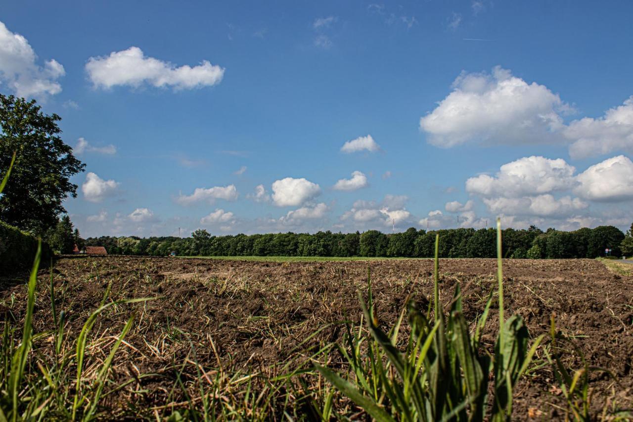 De Lammersdamhoeve Wingene Buitenkant foto