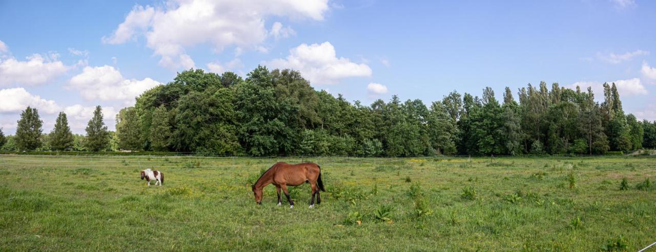 De Lammersdamhoeve Wingene Buitenkant foto